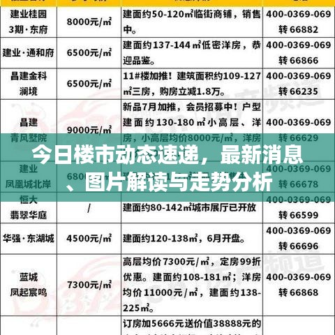 今日樓市動態(tài)速遞，最新消息、圖片解讀與走勢分析