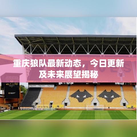 重慶狼隊(duì)最新動態(tài)，今日更新及未來展望揭秘