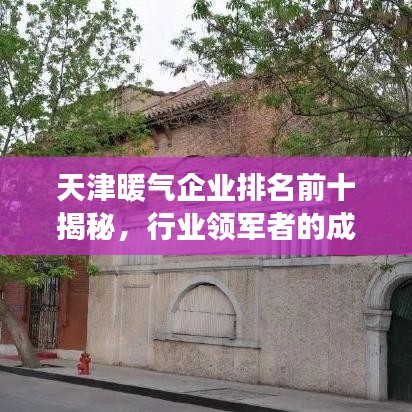 天津暖氣企業(yè)排名前十揭秘，行業(yè)領(lǐng)軍者的成功奧秘探索