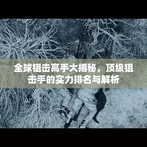 全球狙擊高手大揭秘，頂級狙擊手的實力排名與解析
