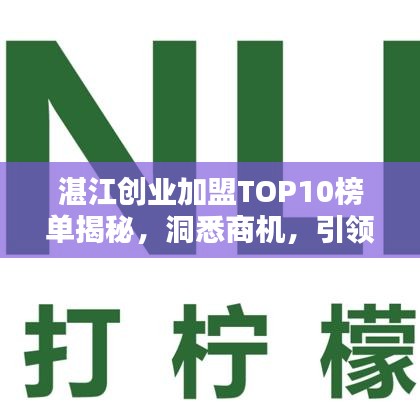 湛江創(chuàng)業(yè)加盟TOP10榜單揭秘，洞悉商機(jī)，引領(lǐng)未來財富之路！