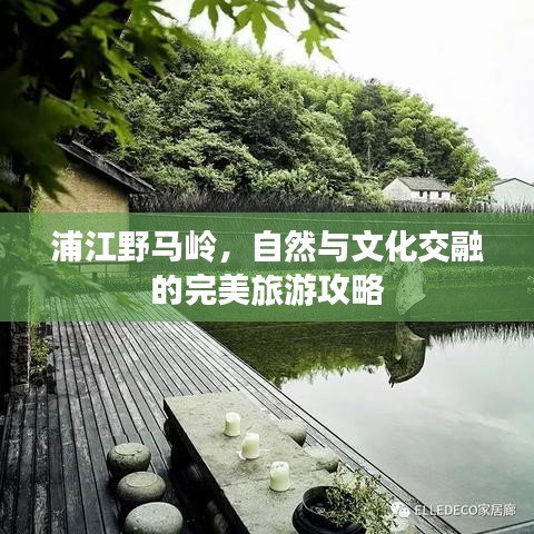 浦江野馬嶺，自然與文化交融的完美旅游攻略