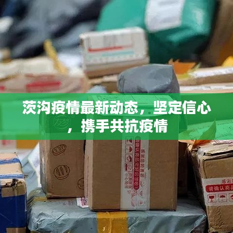 茨溝疫情最新動(dòng)態(tài)，堅(jiān)定信心，攜手共抗疫情