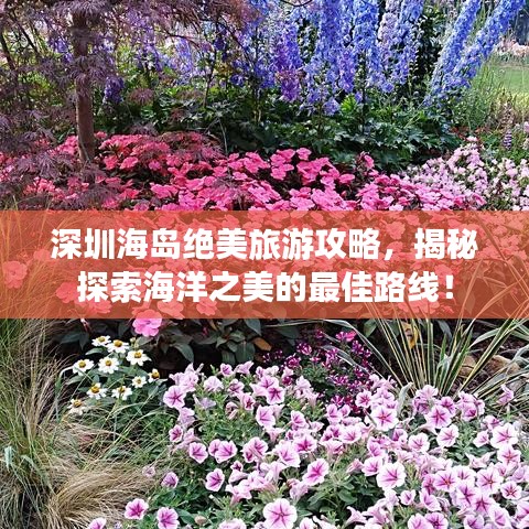 深圳海島絕美旅游攻略，揭秘探索海洋之美的最佳路線！