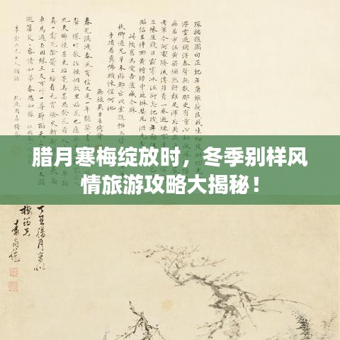 臘月寒梅綻放時，冬季別樣風(fēng)情旅游攻略大揭秘！