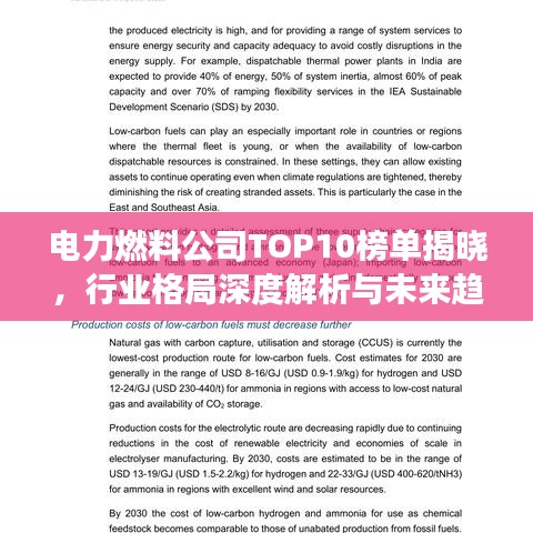 電力燃料公司TOP10榜單揭曉，行業(yè)格局深度解析與未來趨勢(shì)展望