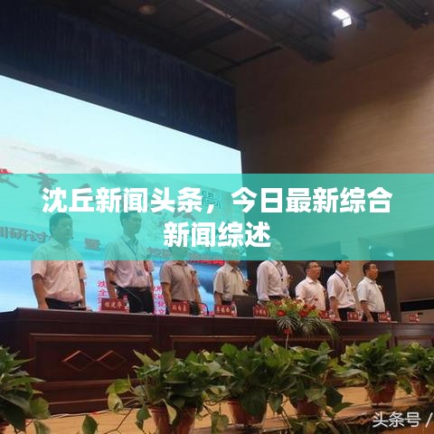 沈丘新聞?lì)^條，今日最新綜合新聞綜述