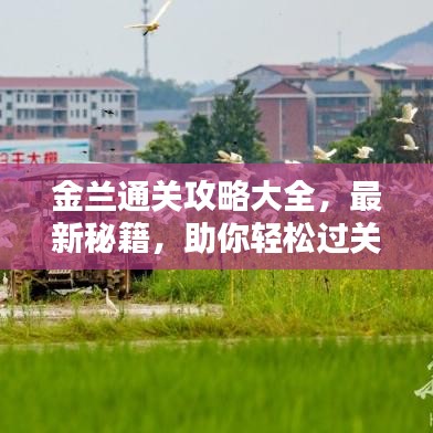 金蘭通關(guān)攻略大全，最新秘籍，助你輕松過關(guān)！