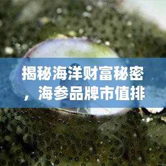 揭秘海洋財富秘密，海參品牌市值排名前十強榜單揭曉！