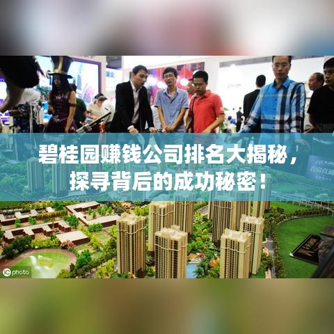碧桂園賺錢公司排名大揭秘，探尋背后的成功秘密！