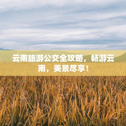 云南旅游公交全攻略，暢游云南，美景盡享！