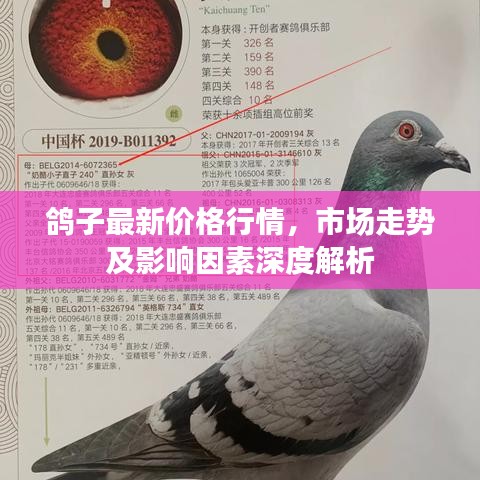鴿子最新價格行情，市場走勢及影響因素深度解析