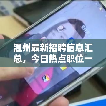 溫州最新招聘信息匯總，今日熱點職位一網(wǎng)打盡