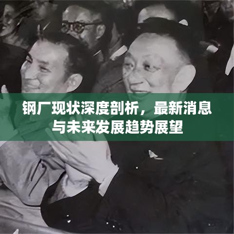 鋼廠現(xiàn)狀深度剖析，最新消息與未來發(fā)展趨勢展望