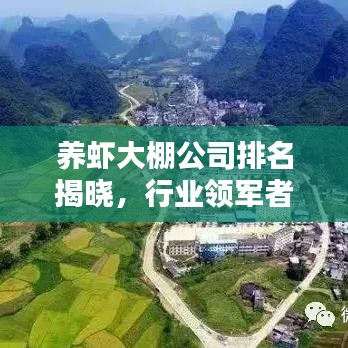 養(yǎng)蝦大棚公司排名揭曉，行業(yè)領(lǐng)軍者榜單探尋