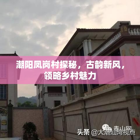 潮陽鳳崗村探秘，古韻新風，領略鄉(xiāng)村魅力
