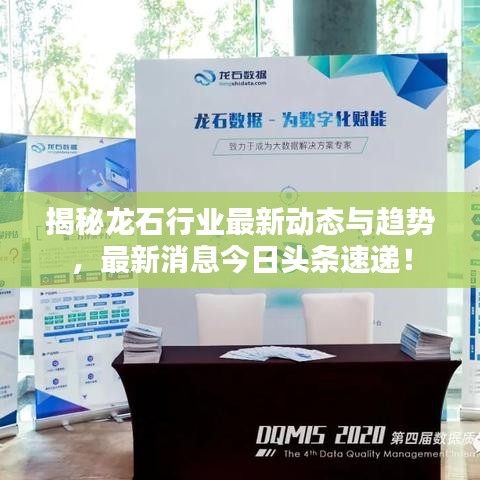 揭秘龍石行業(yè)最新動態(tài)與趨勢，最新消息今日頭條速遞！