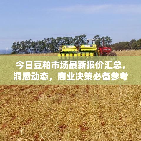 今日豆粕市場最新報(bào)價(jià)匯總，洞悉動態(tài)，商業(yè)決策必備參考