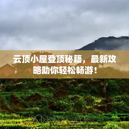 2025年5月17日 第13頁