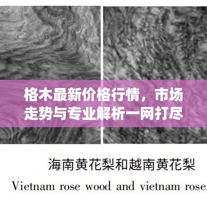 2025年5月17日 第8頁