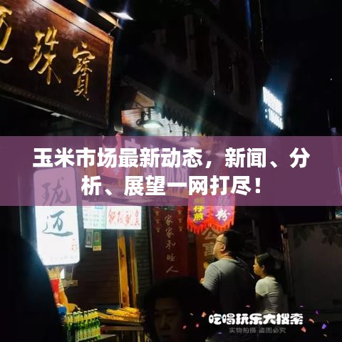 玉米市場最新動態(tài)，新聞、分析、展望一網(wǎng)打盡！