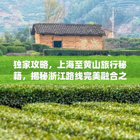 獨(dú)家攻略，上海至黃山旅行秘籍，揭秘浙江路線(xiàn)完美融合之旅！