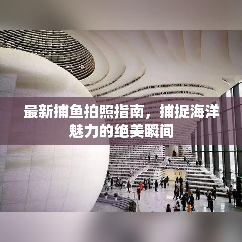 最新捕魚(yú)拍照指南，捕捉海洋魅力的絕美瞬間