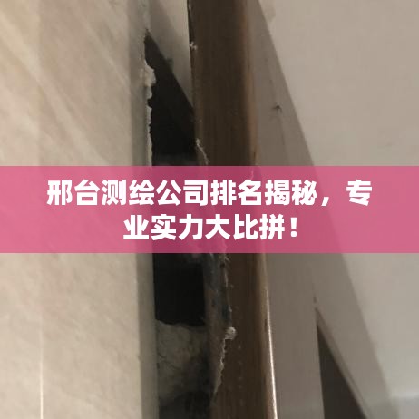 邢臺測繪公司排名揭秘，專業(yè)實力大比拼！