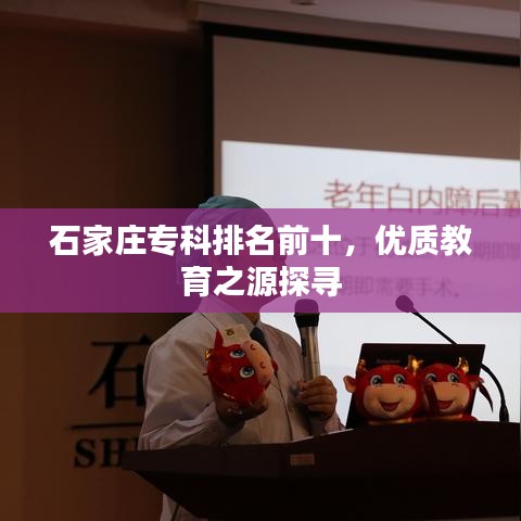 石家莊?？婆琶笆?，優(yōu)質(zhì)教育之源探尋