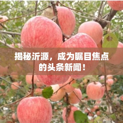 揭秘沂源，成為矚目焦點的頭條新聞！