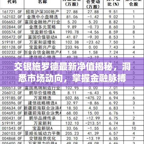 交銀施羅德最新凈值揭秘，洞悉市場動(dòng)向，掌握金融脈搏