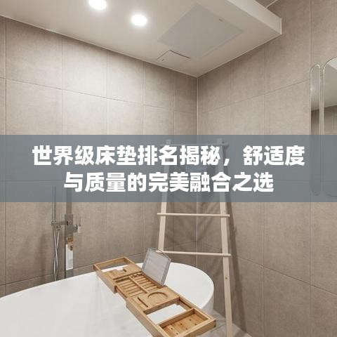 世界級(jí)床墊排名揭秘，舒適度與質(zhì)量的完美融合之選