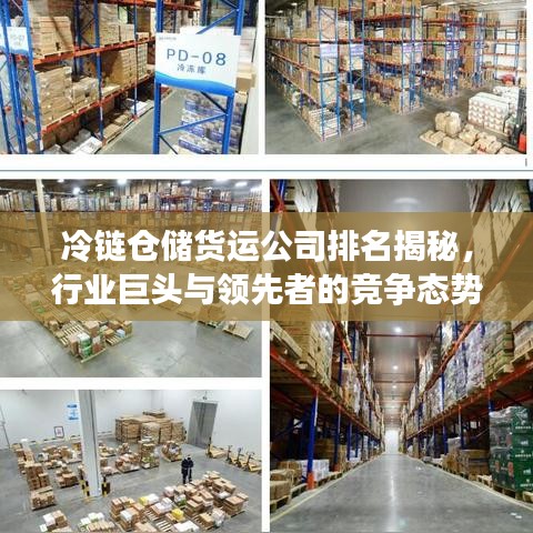 冷鏈倉儲貨運公司排名揭秘，行業(yè)巨頭與領(lǐng)先者的競爭態(tài)勢分析