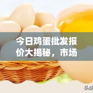 今日雞蛋批發(fā)報(bào)價(jià)大揭秘，市場(chǎng)分析助你洞悉行情！