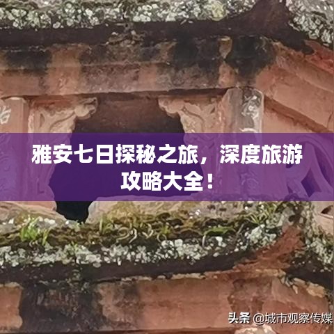 雅安七日探秘之旅，深度旅游攻略大全！