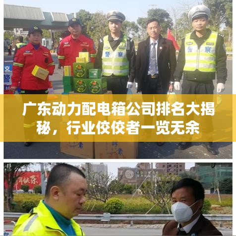 廣東動(dòng)力配電箱公司排名大揭秘，行業(yè)佼佼者一覽無(wú)余