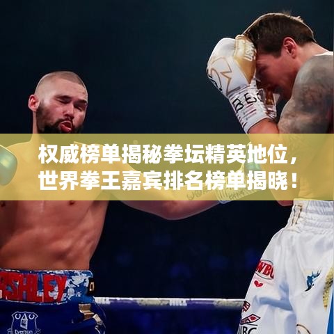 權(quán)威榜單揭秘拳壇精英地位，世界拳王嘉賓排名榜單揭曉！