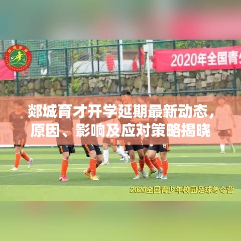 郯城育才開學(xué)延期最新動(dòng)態(tài)，原因、影響及應(yīng)對(duì)策略揭曉