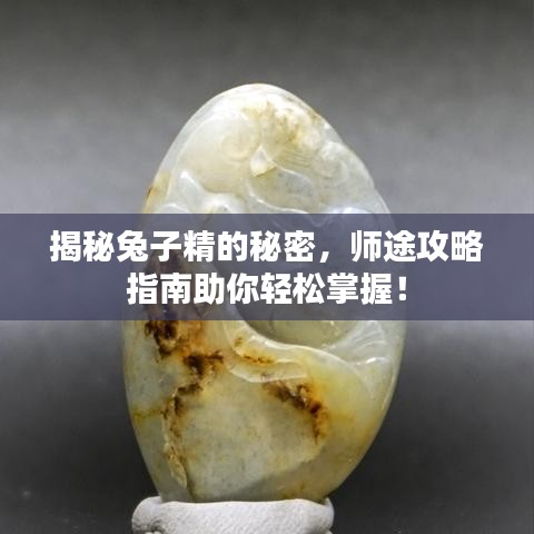 揭秘兔子精的秘密，師途攻略指南助你輕松掌握！