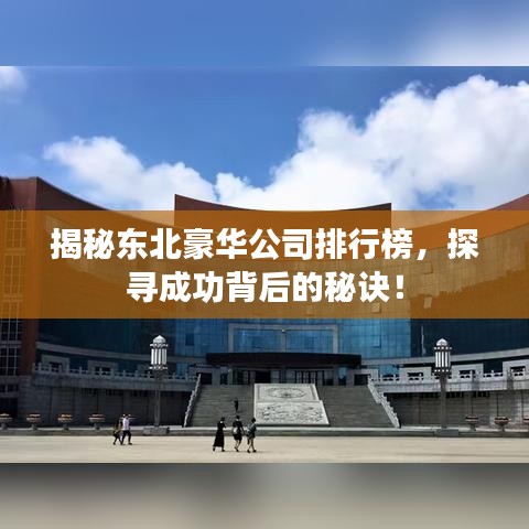 揭秘東北豪華公司排行榜，探尋成功背后的秘訣！