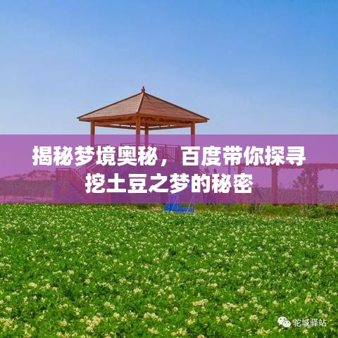 揭秘夢(mèng)境奧秘，百度帶你探尋挖土豆之夢(mèng)的秘密