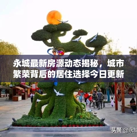 永城最新房源動態(tài)揭秘，城市繁榮背后的居住選擇今日更新