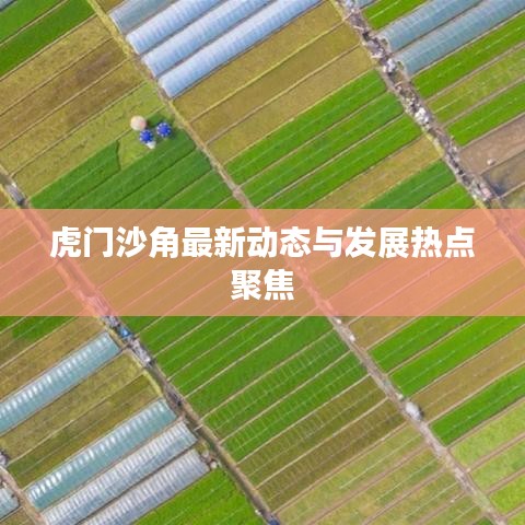 虎門沙角最新動態(tài)與發(fā)展熱點聚焦