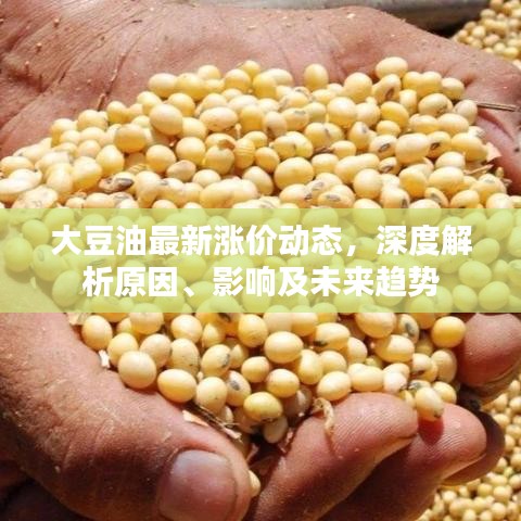 大豆油最新漲價(jià)動(dòng)態(tài)，深度解析原因、影響及未來(lái)趨勢(shì)