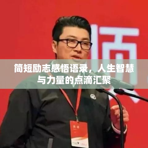 簡短勵志感悟語錄，人生智慧與力量的點滴匯聚