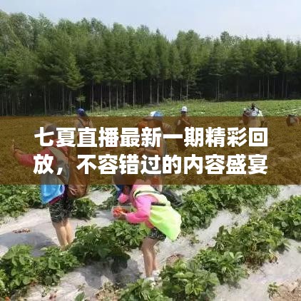七夏直播最新一期精彩回放，不容錯(cuò)過的內(nèi)容盛宴