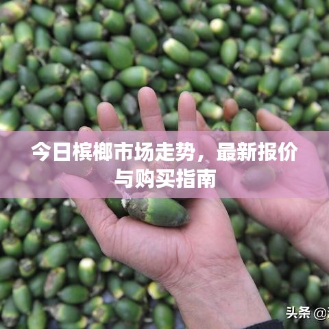 今日檳榔市場(chǎng)走勢(shì)，最新報(bào)價(jià)與購(gòu)買(mǎi)指南