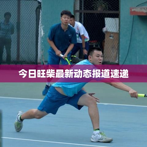 今日旺柴最新動(dòng)態(tài)報(bào)道速遞