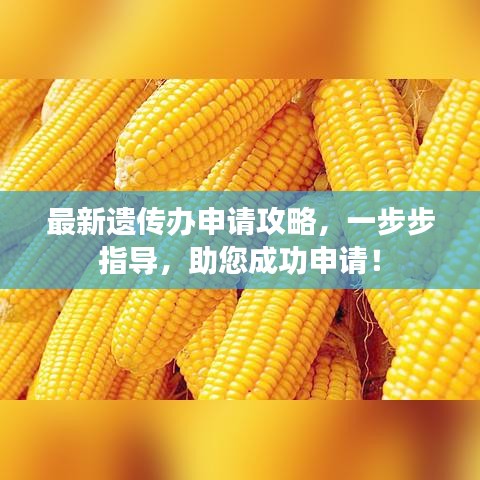 最新遺傳辦申請攻略，一步步指導(dǎo)，助您成功申請！