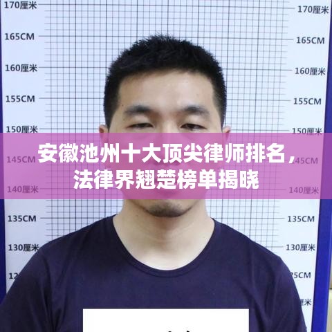 安徽池州十大頂尖律師排名，法律界翹楚榜單揭曉